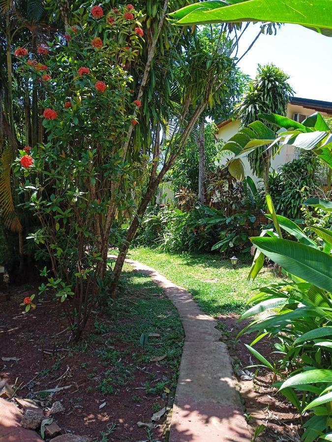 Garden Stone Vandrarhem Puerto Iguazú Exteriör bild